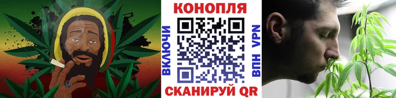 Канабис ГИДРОПОН  Купить закладки  Курлово 